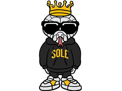 Sole Academy