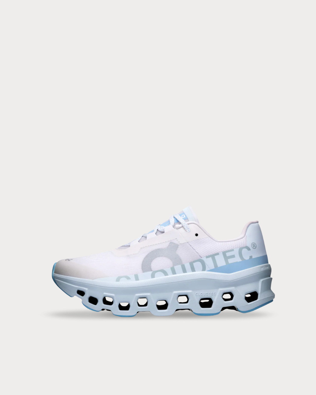 WMNS On Cloudmonster - Frost | Wash