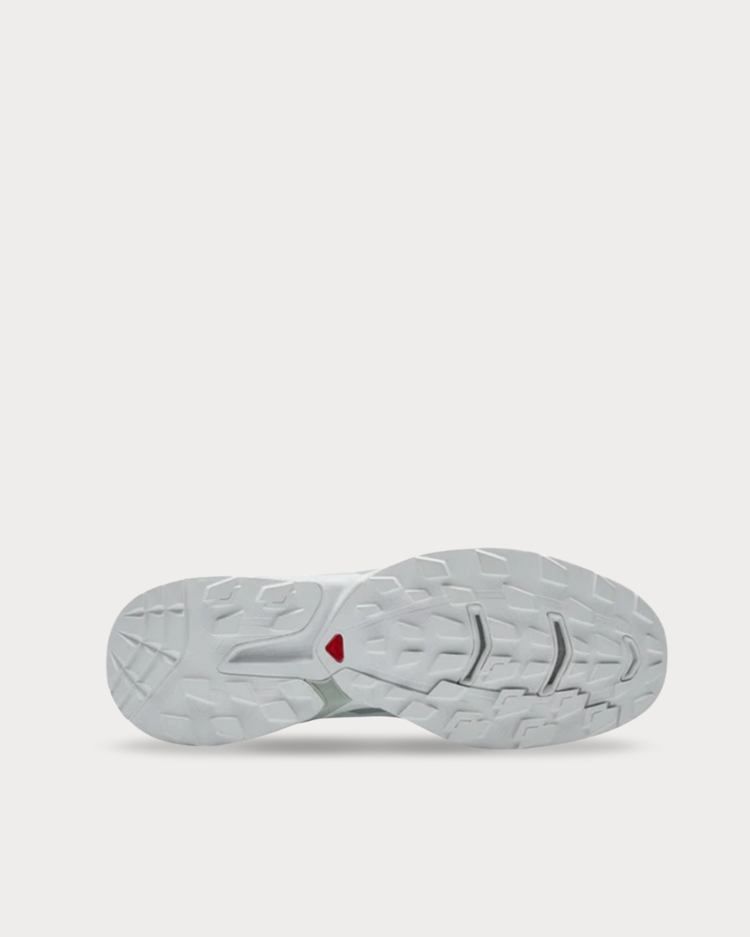 Salomon XT-Wings 2 "White"