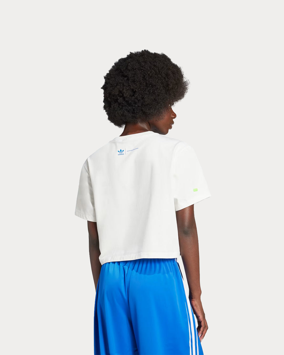 back-IW5662