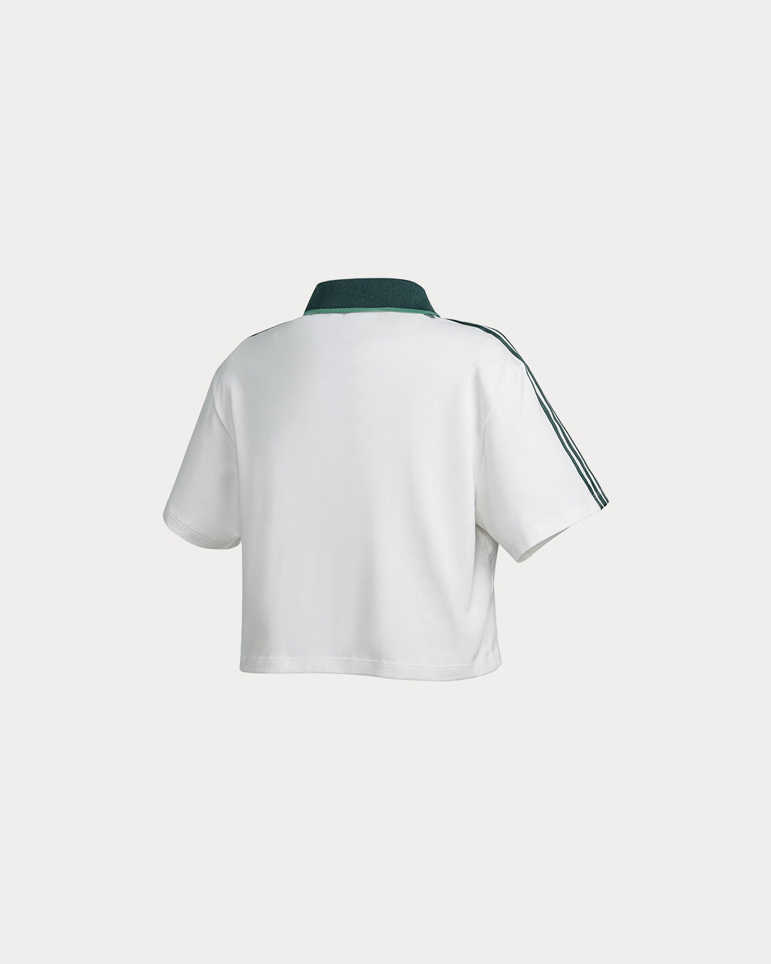 back-IX3555