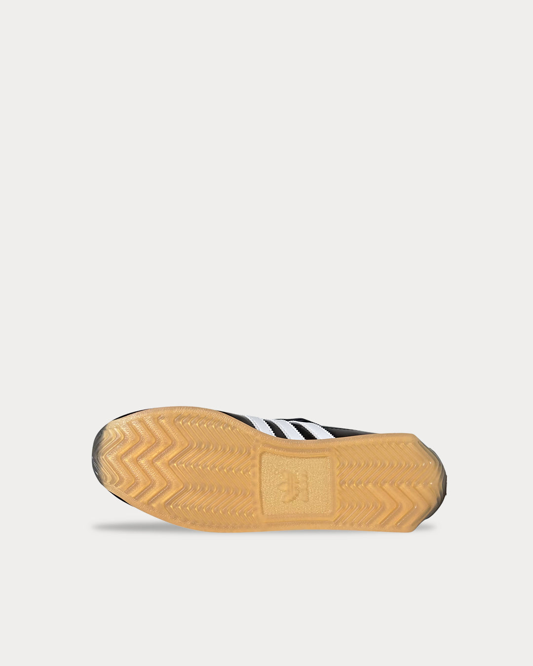 bottom-JR2599