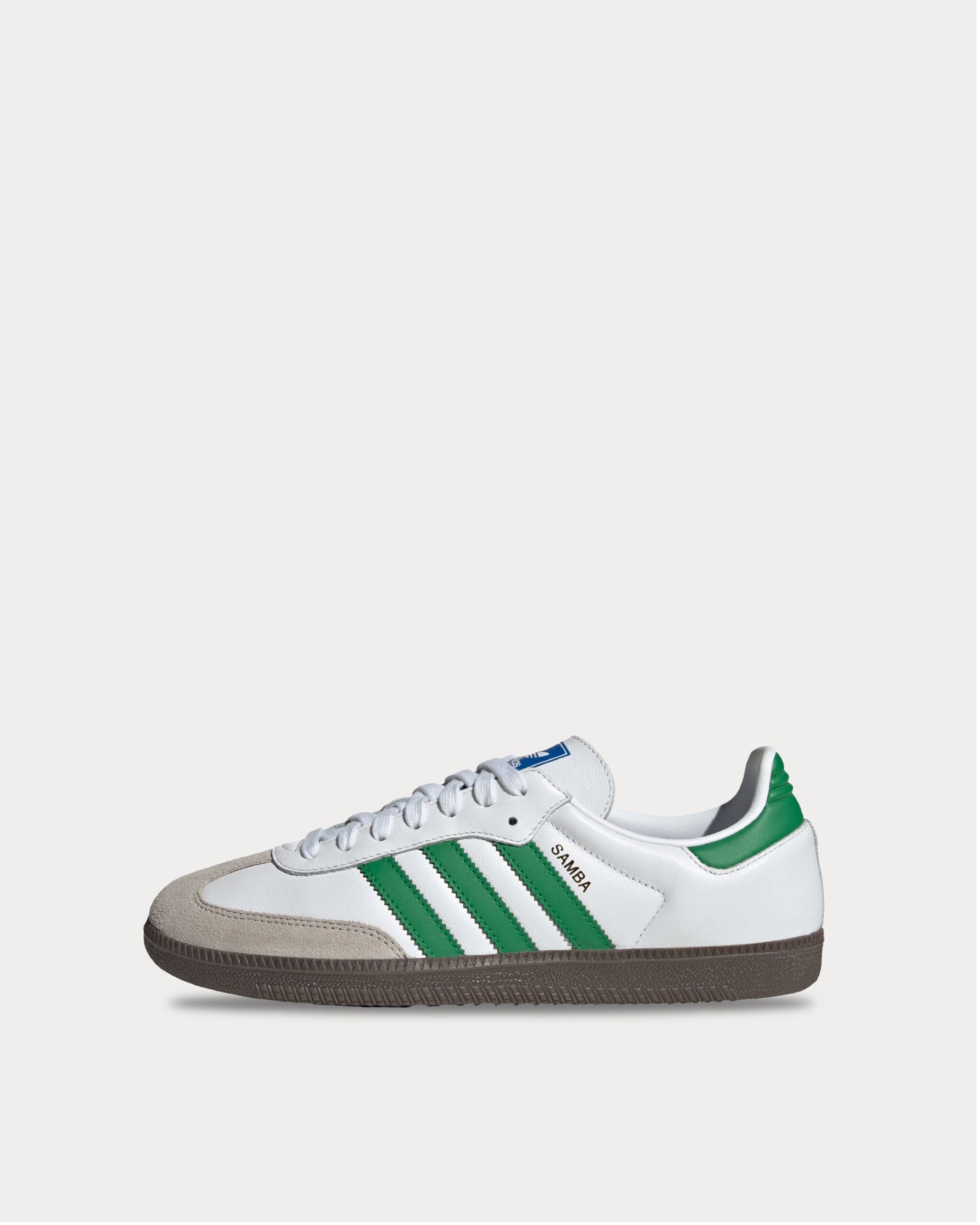 ig1024-left-lateral